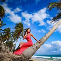 Отзыв от Алиса - Visa DTV